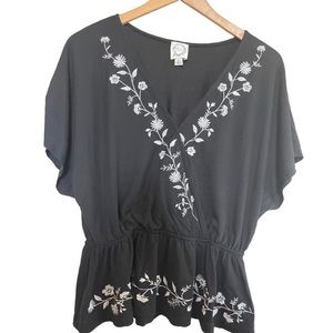 Francesca’s blue rain embroidered top